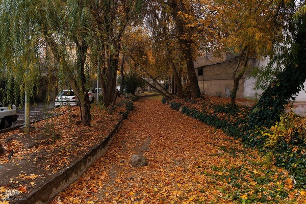 بارش باران پاییزی