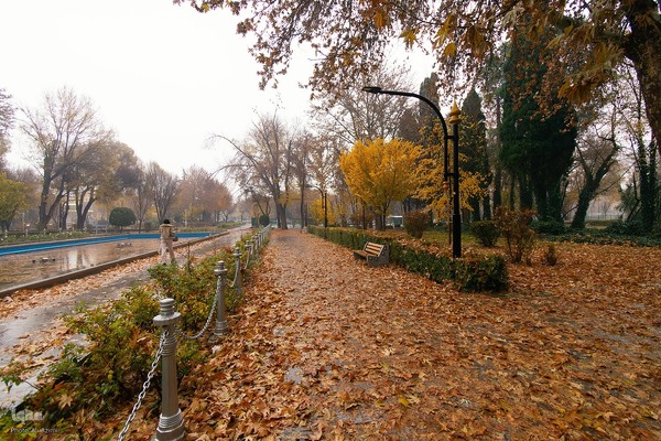 بارش باران پاییزی