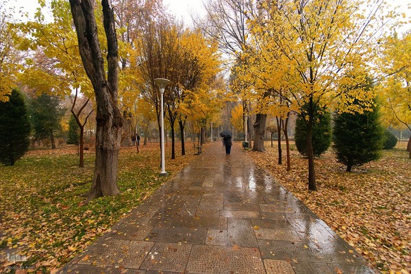 بارش باران پاییزی