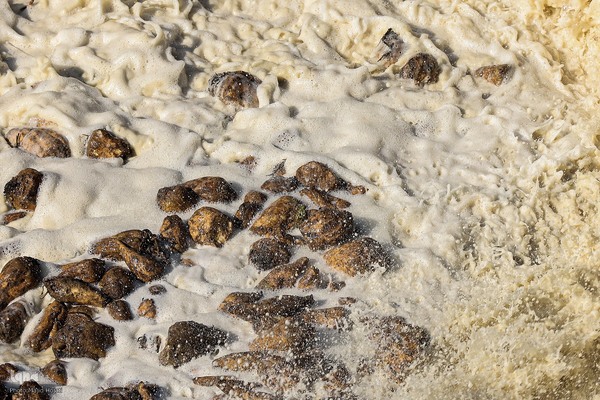 خوداتکایی در تولید شکر