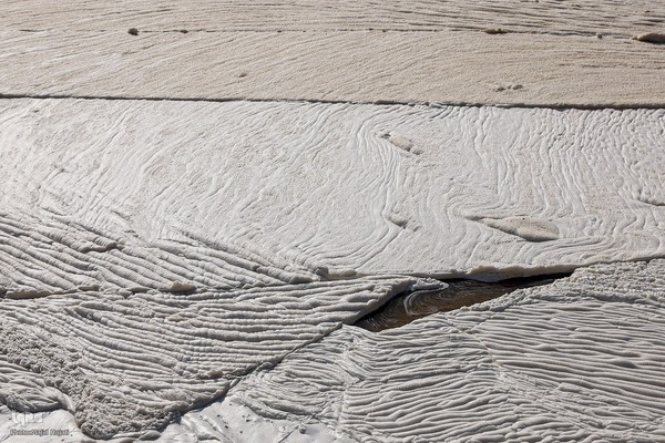 خوداتکایی در تولید شکر