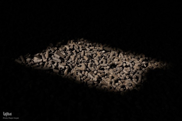 خوداتکایی در تولید شکر