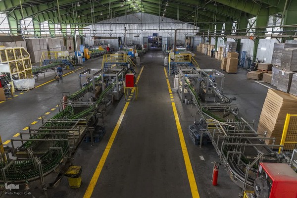 تولید ملی در صنایع شیشه و گاز