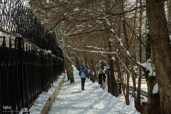 هوای تازه تهران