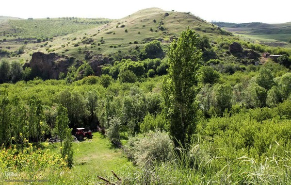 ریشه در خاک، سمبل مقاومت و ایستادگی