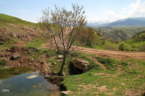 ریشه در خاک، سمبل مقاومت و ایستادگی
