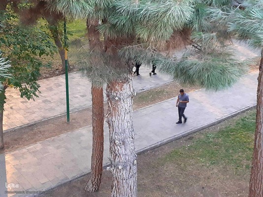 ریشه در خاک، سمبل مقاومت و ایستادگی