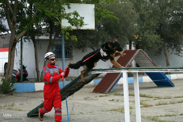 بازدید