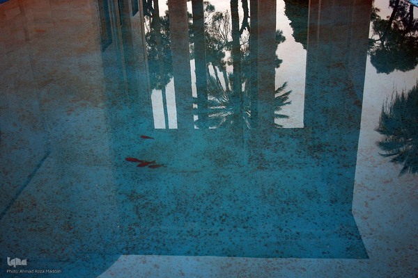 یادروز شیخ اجل سعدی شیرازی