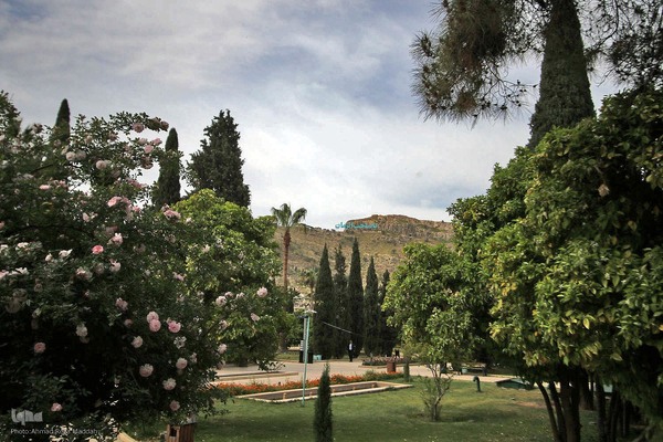 یادروز شیخ اجل سعدی شیرازی