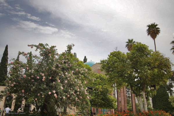 یادروز شیخ اجل سعدی شیرازی