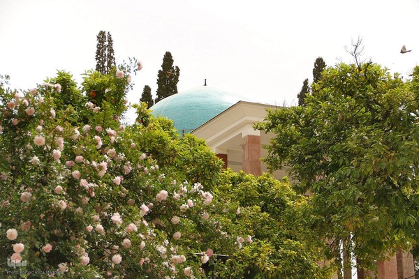 یادروز شیخ اجل سعدی شیرازی