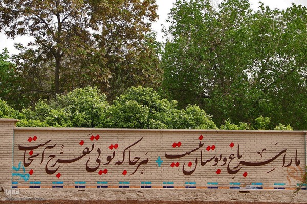 برداشت بهار نارنج در شیراز
