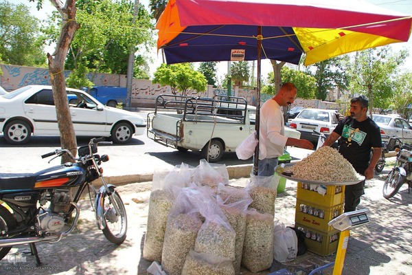برداشت بهار نارنج در شیراز