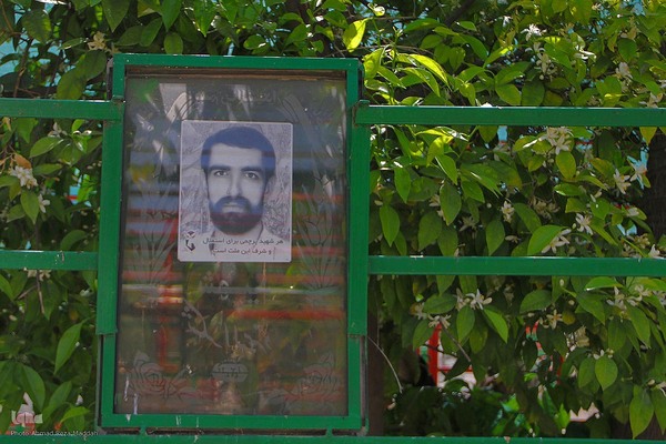 برداشت بهار نارنج در شیراز