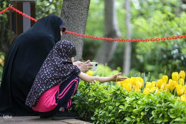 خودنمایی لاله های رنگی در دل معماری سنتی