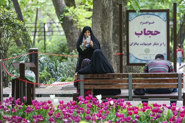 خودنمایی لاله های رنگی در دل معماری سنتی