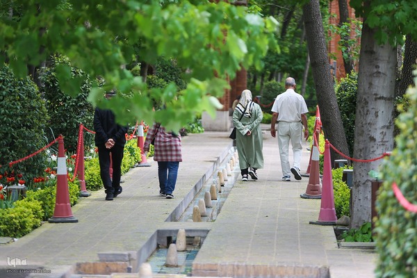 خودنمایی لاله های رنگی در دل معماری سنتی