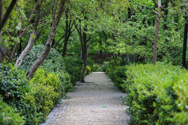 خودنمایی لاله های رنگی در دل معماری سنتی