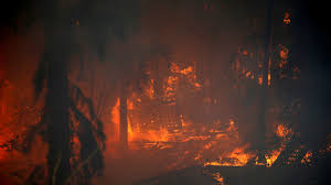 Israël brûle