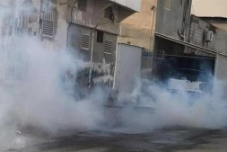 Vastes arrestations des manifestants bahreïnis