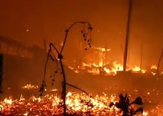 300 villages musulmans ont été incendiés à Arakan 300 villages musulmans ont été incendiés à Arakan