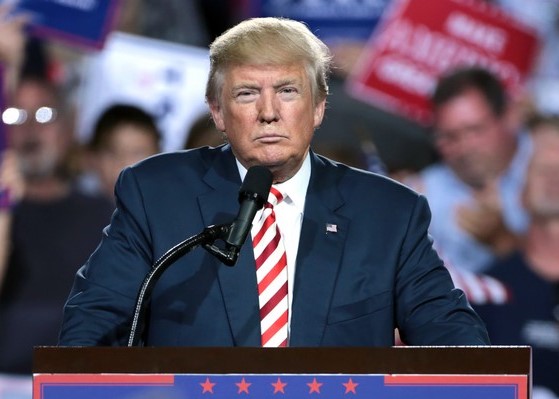 Publication par Donald Trump des vid&eacute;os islamophobes