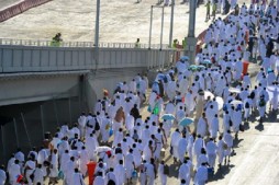 Lancement de la carte d&eacute;mographique du hajj