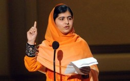 Crimes contre les Rohingyas: Prix nobel de la paix critique la prix nobel de la paix