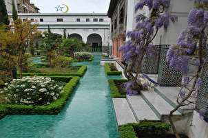 La Grande mosquée de Paris
