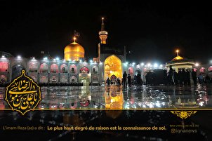 Le plus haut degré de raison est la connaissance de soi