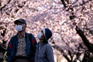 Fleurs des arbres en printemps