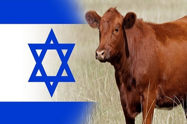 Mythologie sioniste pour judaïser la première Qibla des musulmans
