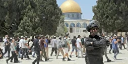 Nouvelle profanation de la mosquée Al-Aqsa