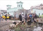 Ramadan au berceau de l'islam au Congo