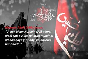 "A kan kisan Hussain (AS) akwai wani zafi a cikin zukatan muminai wanda baya yin sanyi ko bucewa har abada."