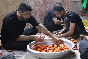Masu hidima a yayin Tattakin Ziyarar Arbaeen A Cikin Hotuna (2)