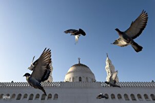 Mahajjata Suna Ziyarci Rukunan Tarihi na Madina bayan Aikin Hajji