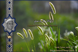 Aya daga Suratul Yunus na Ahmad Shabib