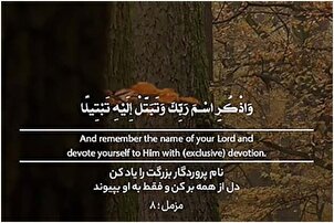 अपना दिल हर चीज़ से हटा लो