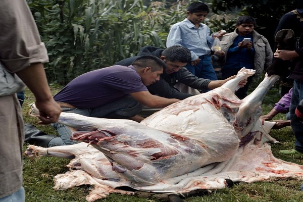 Proyek Jannah; Kehidupan Mualaf Meksiko dalam Perspektif Fotografer Italia