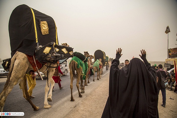 Karavan Pengkabung Bergerak dari Basrah Menuju Karbala