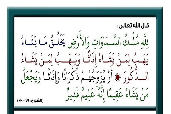 Tartil Juz Ke-25 Alquran oleh Qhasem Raziei, Qori Internasional