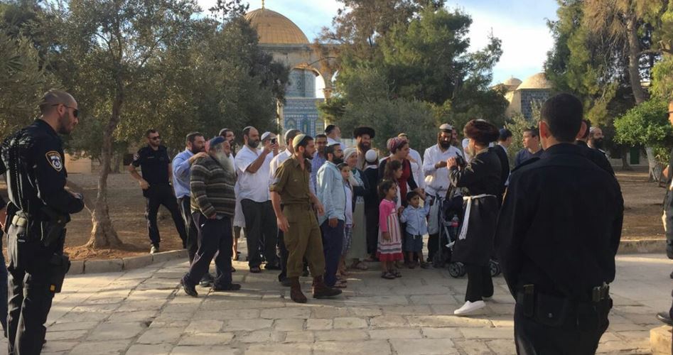 Centinaia di coloni invadono al-Aqsa per la Festa delle Luci