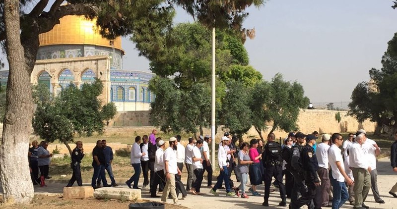 Orda di coloni estremisti invade il complesso di al-Aqsa