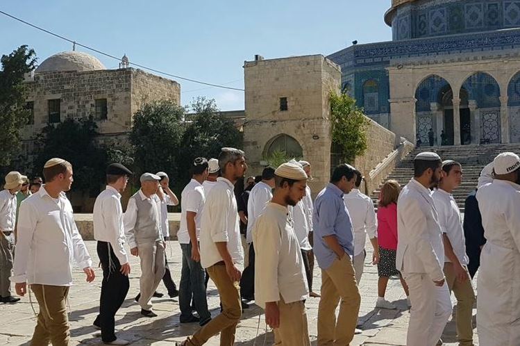 Gerusalemme, 88 coloni invadono al-Aqsa Gerusalemme, 88 coloni invadono al-Aqsa