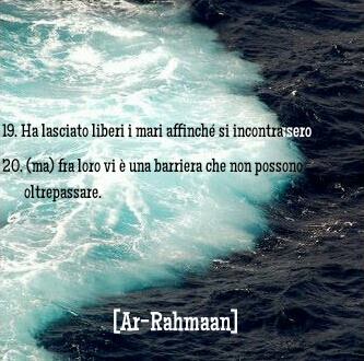 Sura Ar-Rahmân(Il Compassionevole)