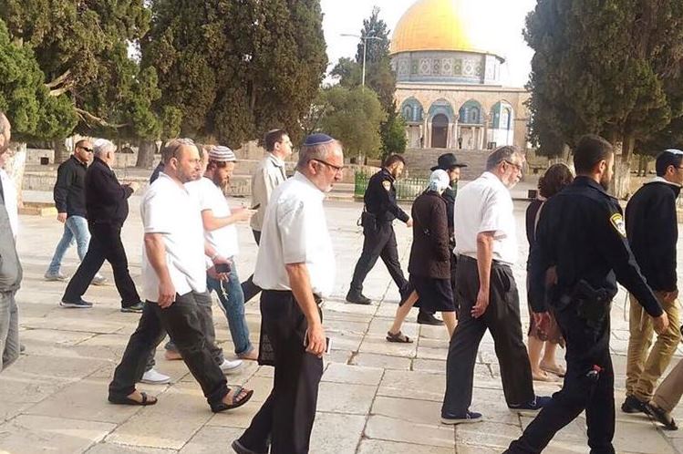 Gerusalemme, 60 coloni invadono al-Aqsa Gerusalemme, 60 coloni invadono al-Aqsa