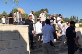 Gerusalemme, 72 coloni, protetti dalle forze israeliane, invadono i cortili di al-Aqsa