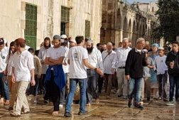 Gerusalemme, 70 coloni irrompono nei cortili di al-Aqsa Gerusalemme, 70 coloni irrompono nei cortili di al-Aqsa